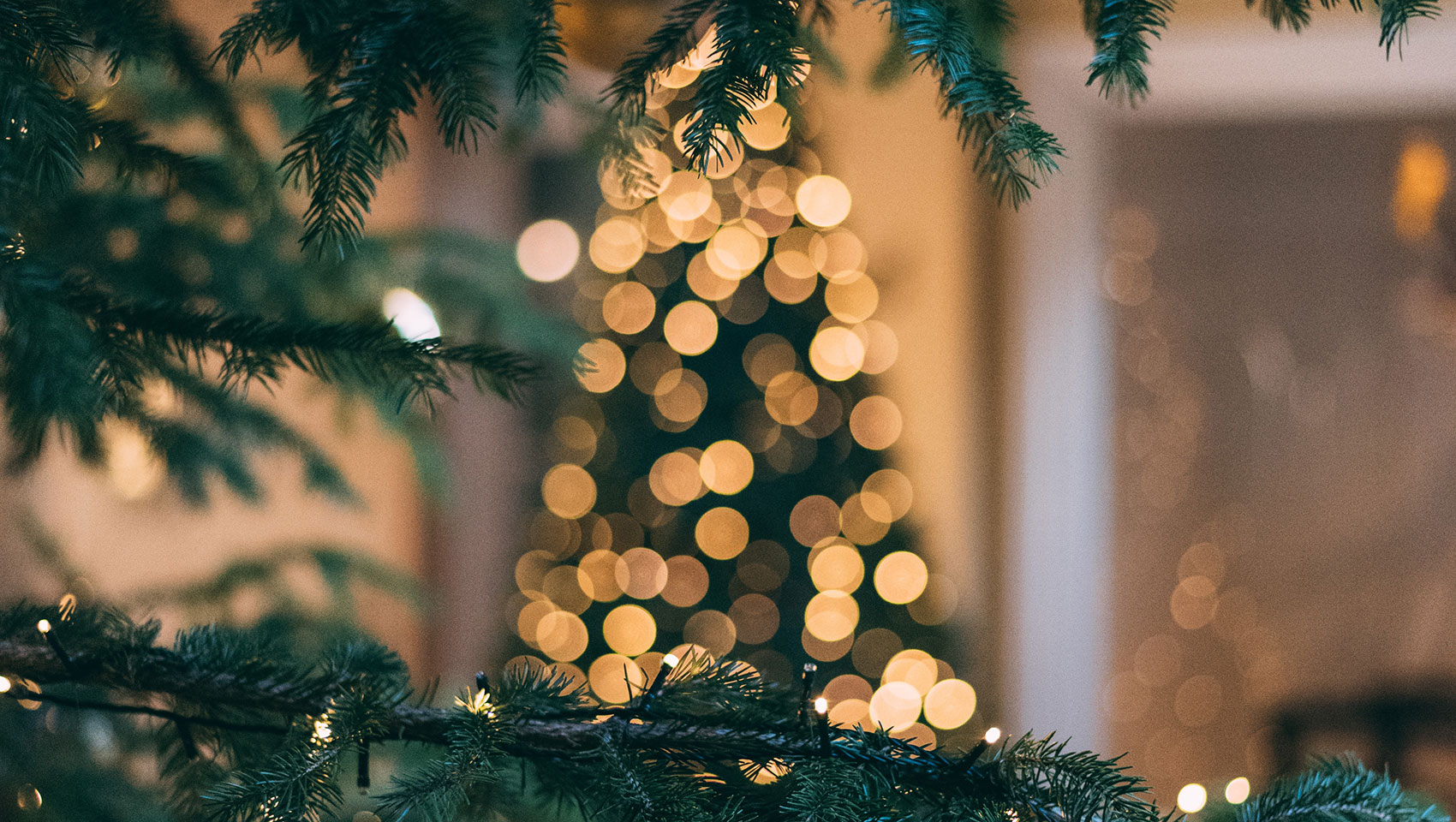 twinkle lights on greenery with a lit up tree in background